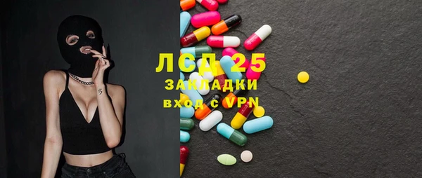 индика Горнозаводск