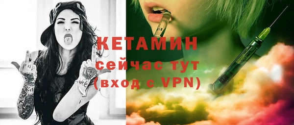 индика Горнозаводск
