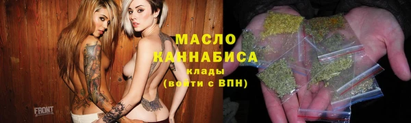 индика Горнозаводск