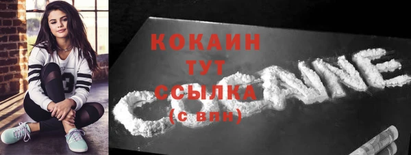 индика Горнозаводск