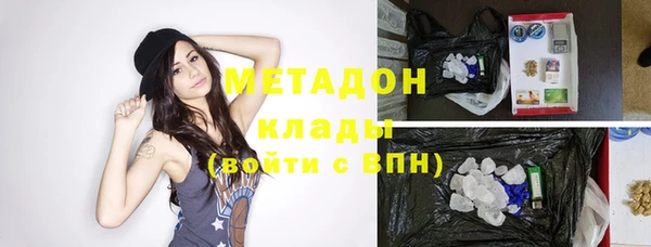 индика Горнозаводск