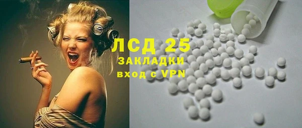 гидра Горно-Алтайск