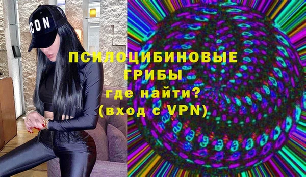 индика Горнозаводск
