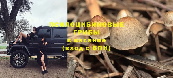 гидра Горно-Алтайск