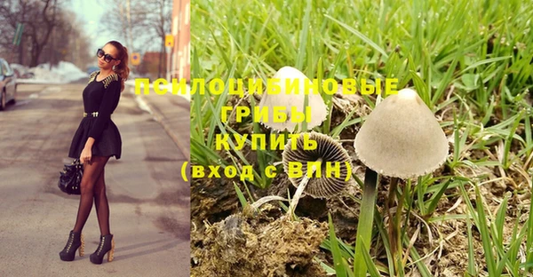 гидра Горно-Алтайск