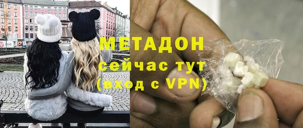 индика Горнозаводск