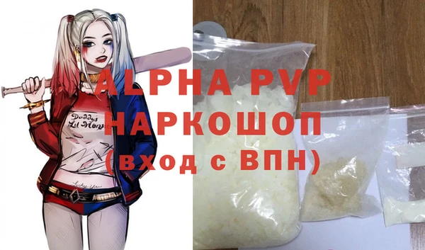 индика Горнозаводск