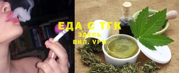 индика Горнозаводск