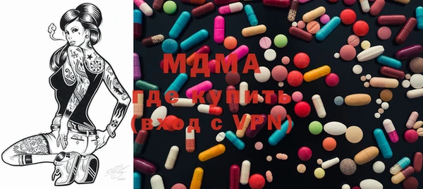 индика Горнозаводск