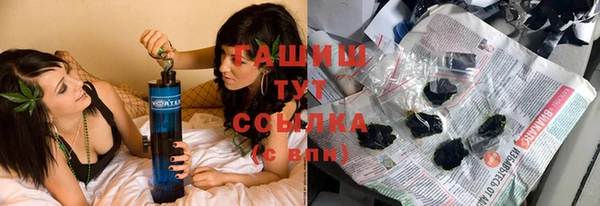 индика Горнозаводск