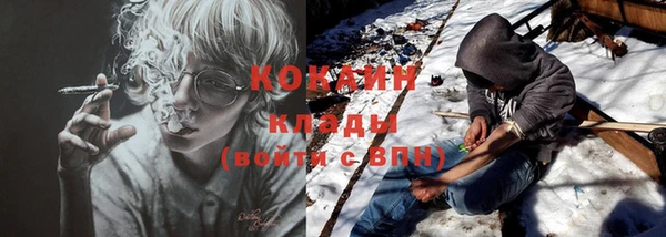 индика Горнозаводск