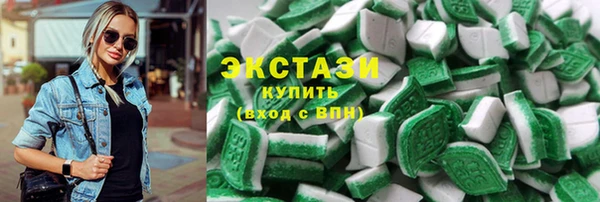 индика Горнозаводск