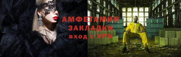 индика Горнозаводск
