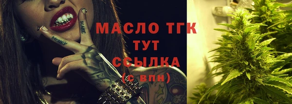 индика Горнозаводск