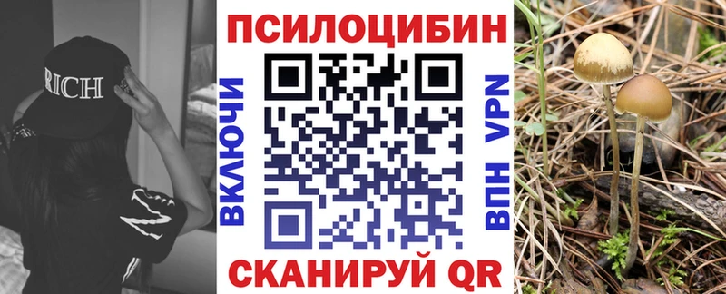 Псилоцибиновые грибы Magic Shrooms  Кизилюрт 