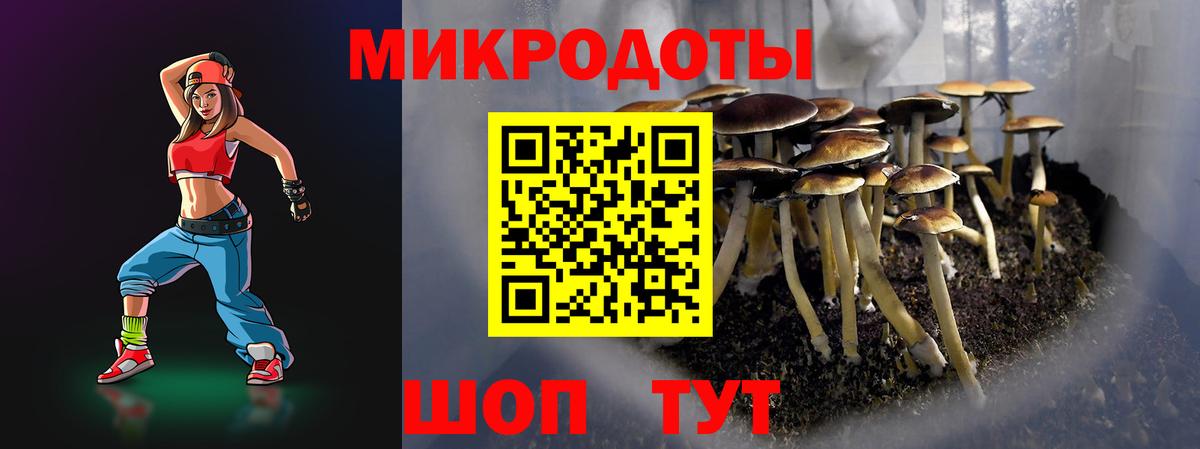 Псилоцибиновые грибы мухоморы  Вход с VPN  Кизилюрт 