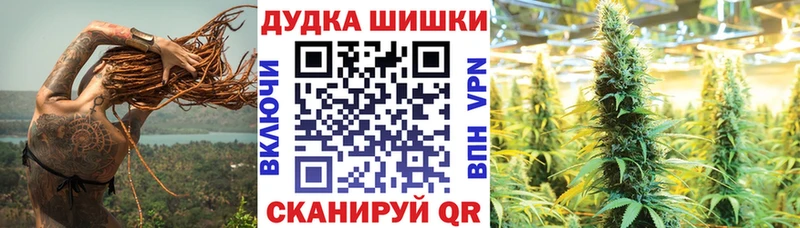 Шишки марихуана сатива  Кизилюрт 